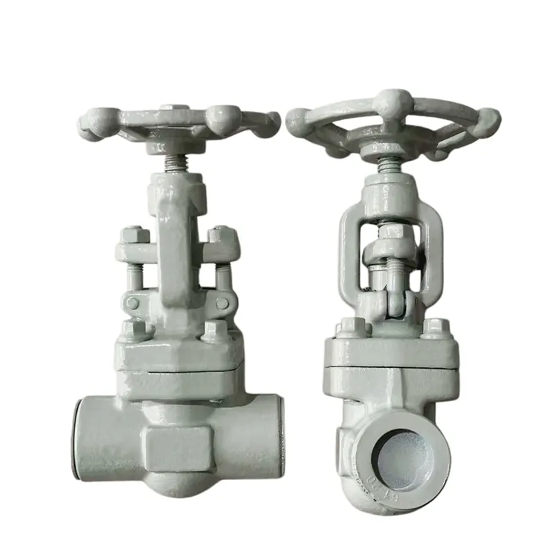 Ngwá ọrụ Chemical Specific Gate Valve