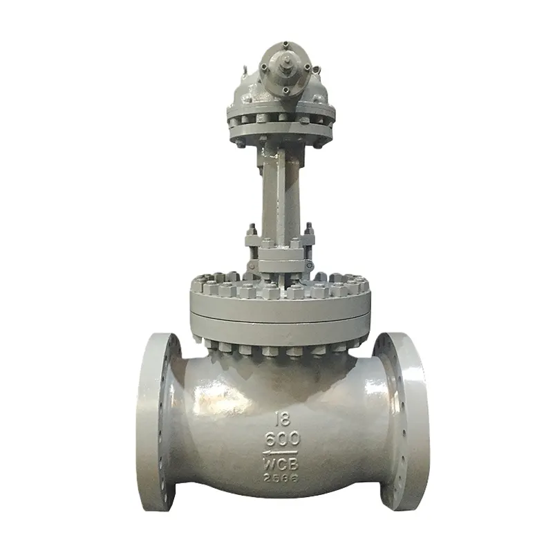 Corrosion Resistant Globe Valve