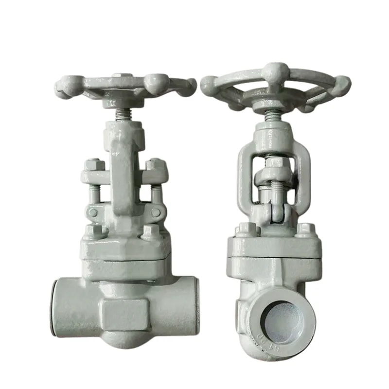 Valve Ọnụ Ụzọ Ámá Akpara akpa nke nwere oghere