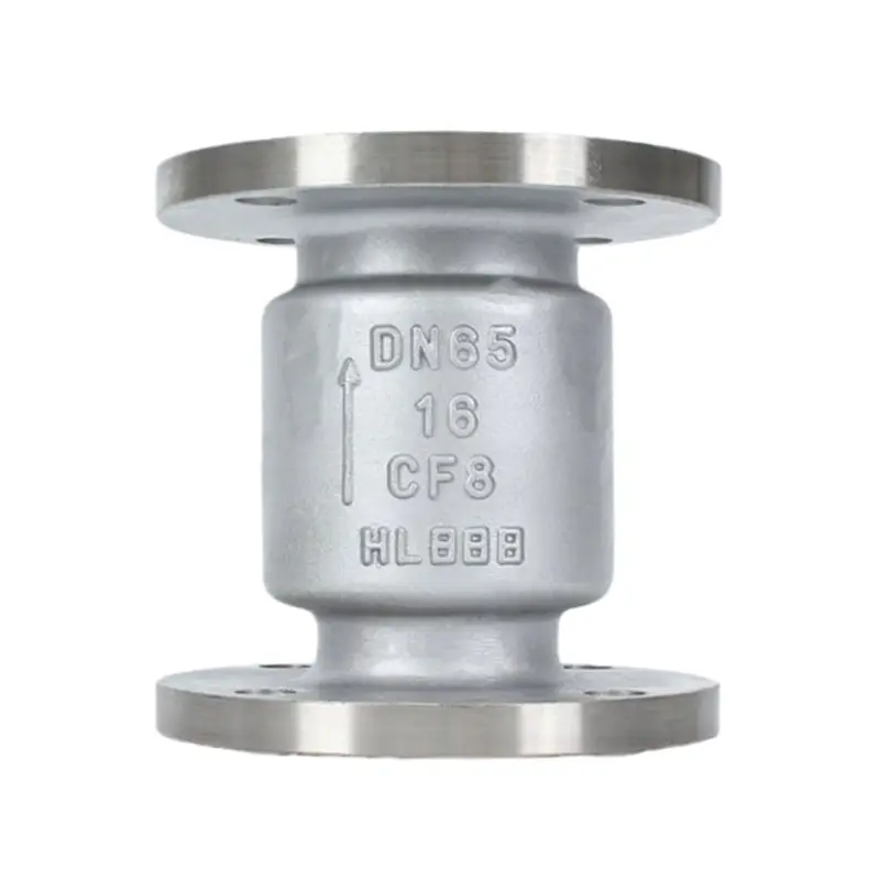 Igwe anaghị agba nchara 316 Vertical Check Valves