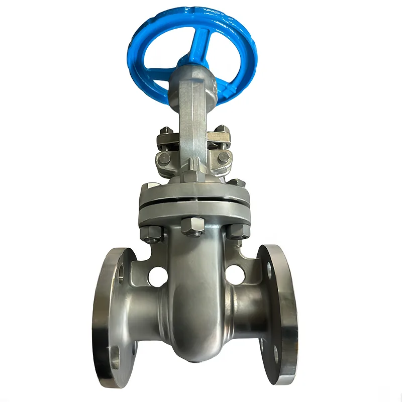 Igwe anaghị agba nchara API Flanged Gate Valve